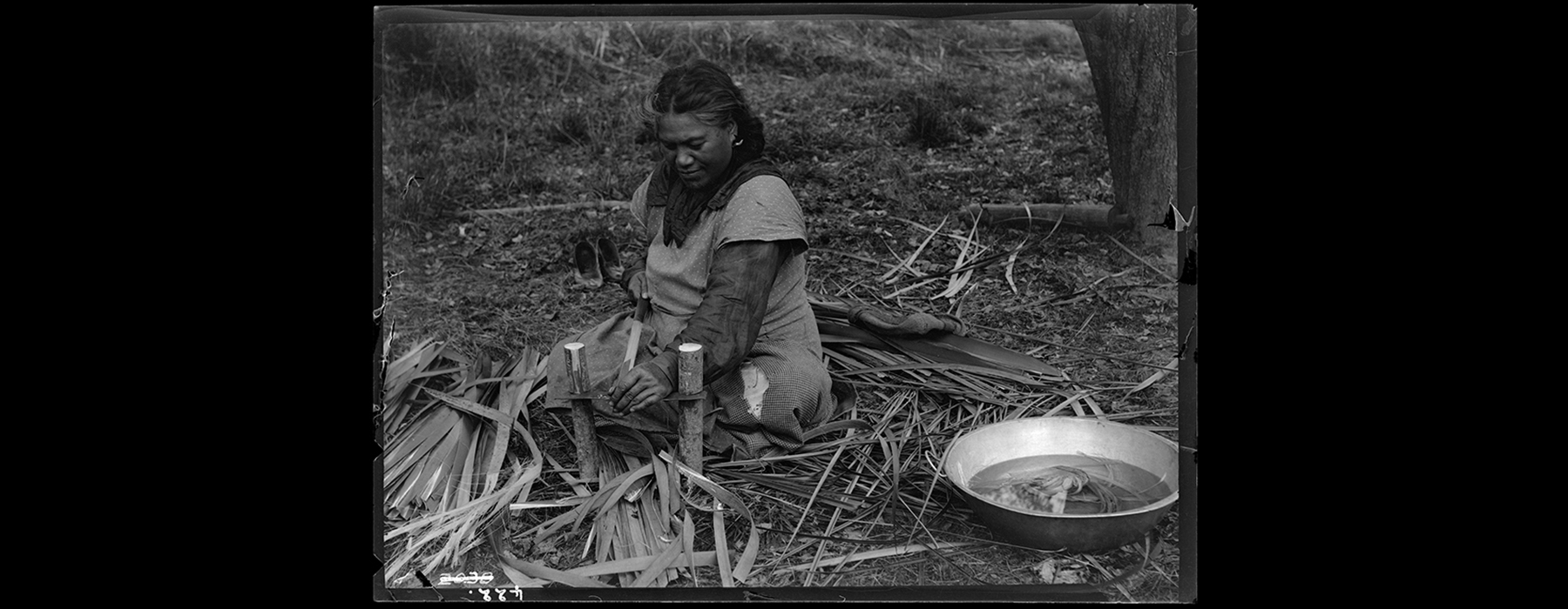 A black and white photo of a Māori woman sitting on the ground, she is stripping flax leaves for weaving.