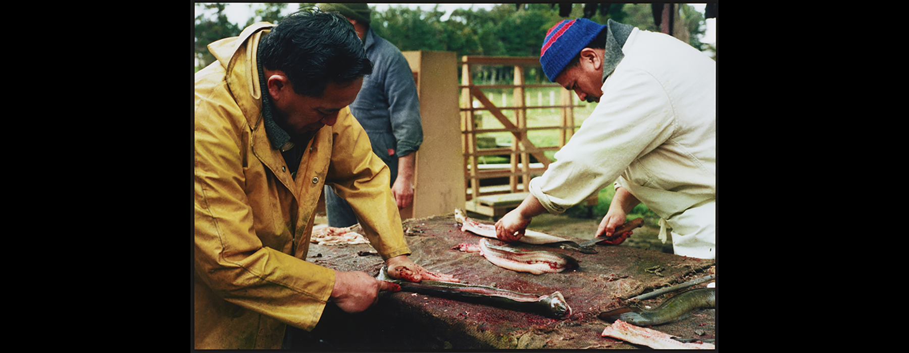 Two men are outside working on a table where they are carving up eels.