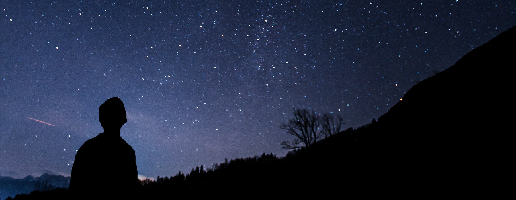 A silhouette of a person looking at the night sky.