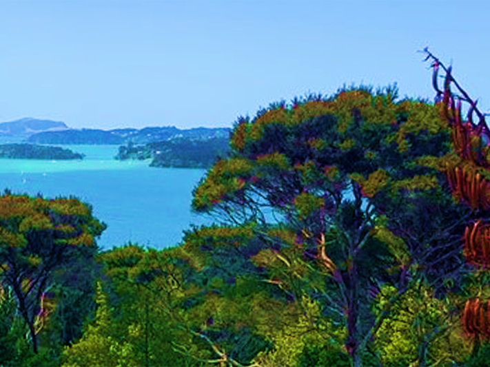Image of Te Pewhairangi by Te Herekiekie Herewini A stylised photo of an inlet surrounded by bush.