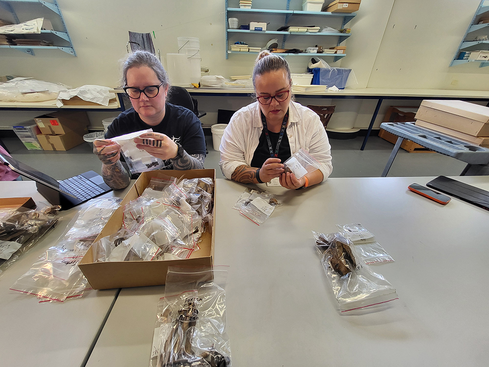 Two people are sitting on the same side of the desk looking a small plastic bags of whale bone artefacts.