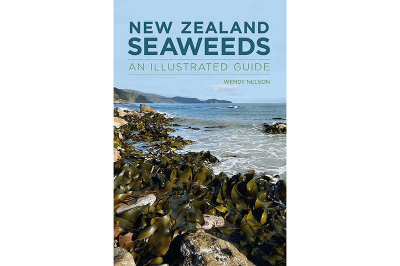 Cover for New Zealand Seaweeds: An Illustrated Guide