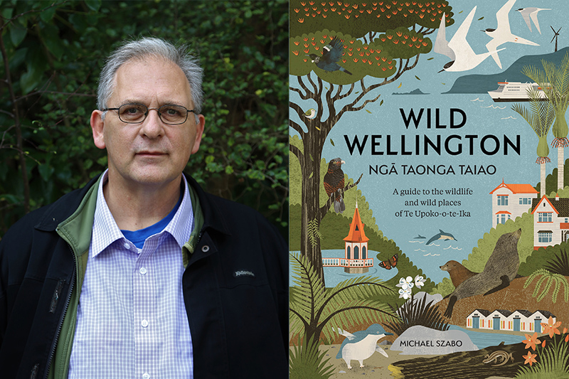 A split image of a head and shoulders of a man the book cover for Wild Wellington