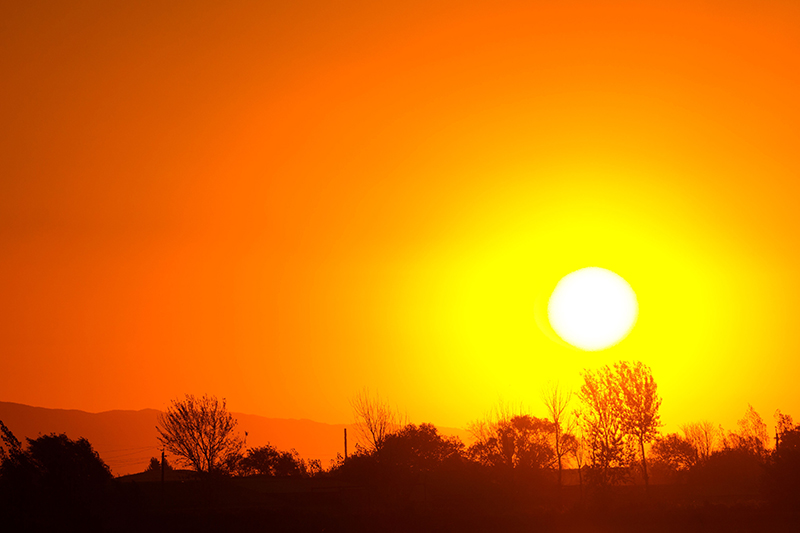 A bright red and yellow sky surrounding a white sun. There are silhouettes of trees in the foreground.