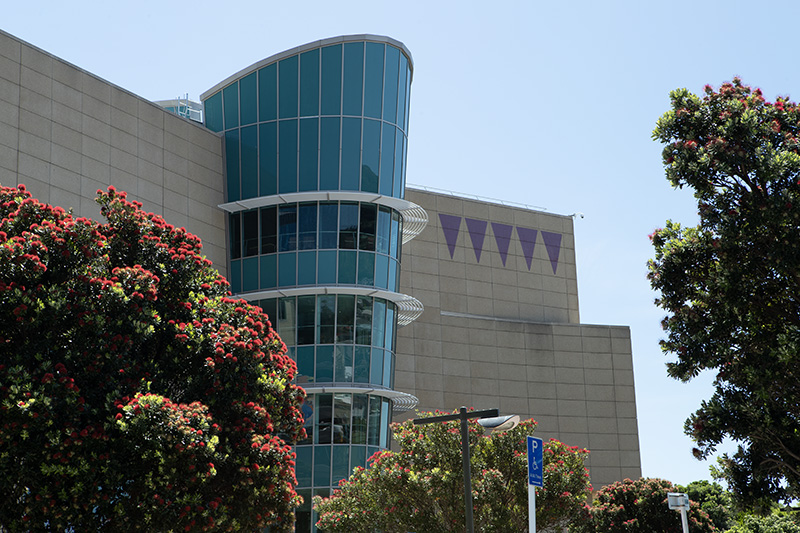 A photo of a large building showing no windows except a cone-like section in the middle of the wall entirely made of glass. The building is surrounded by flowering pohutukawa trees.