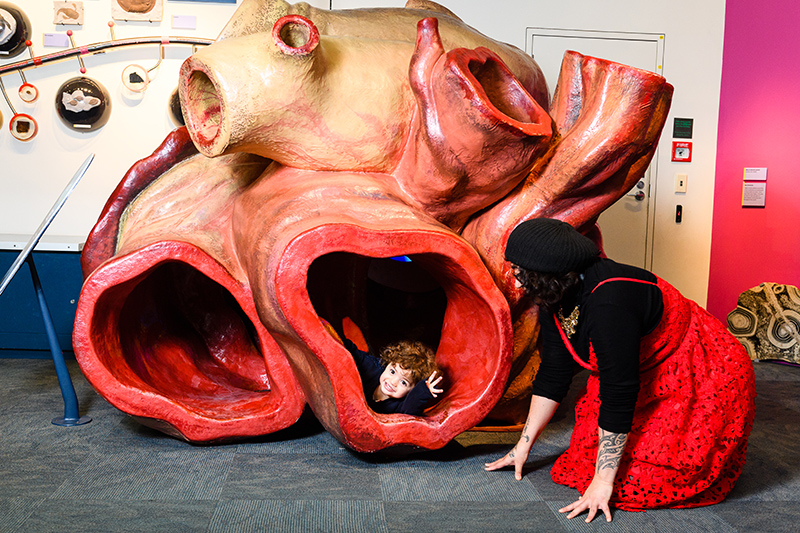 A mother and child are playing in a lifesize model of a whale heart