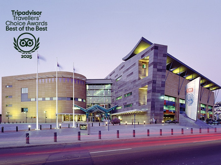 Te Papa at dusk. Photo by Te Papa Imaging. Te Papa (108024)
