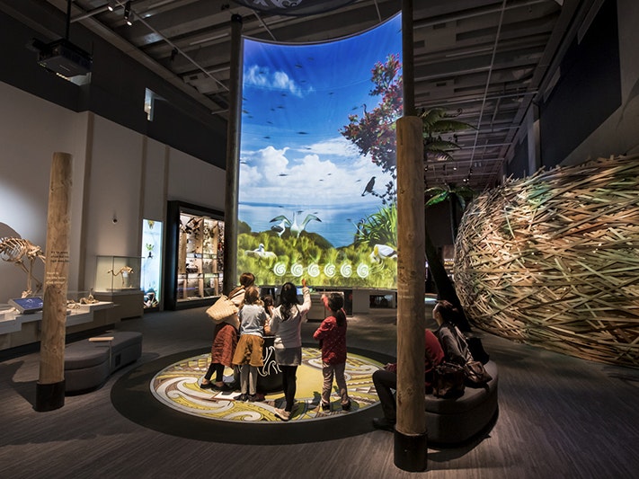 Te Taiao Nature, 2019. Photo by Maarten Holl. Te Papa (139737) Children in front of a large convex screen with a photo of nature on it. They are in a museum room.