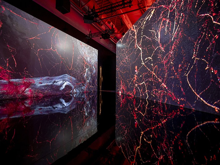 Evolver: The Journey of Breath. Breathe | Mauri Ora, Te Papa 2025 An istallation photo of large digital screens showing an abstract video.
