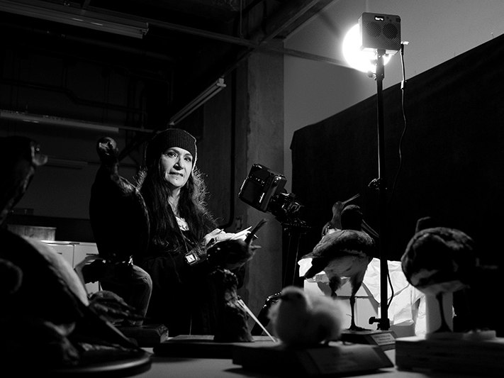 Fiona Pardington. Photo by Maarten Holl. Te Papa A black and white photo of a woman standing in a dark room surrounded by taxidermied birds.