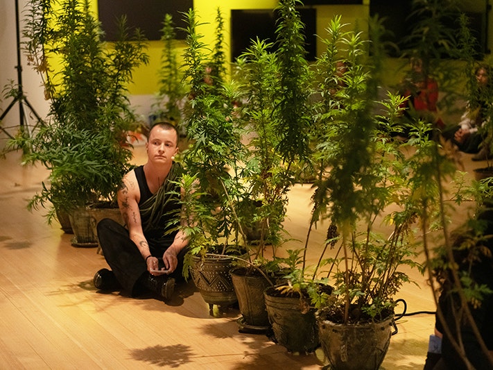 'That's You Mugwort!' Performance February 2026. Photo courtesy of Ann Shelton A person in a black singlet and black trousers is sitting cross-legged on a wooden floor with large potplants in a line in front of them and one behind. There are seated people watching in the background.