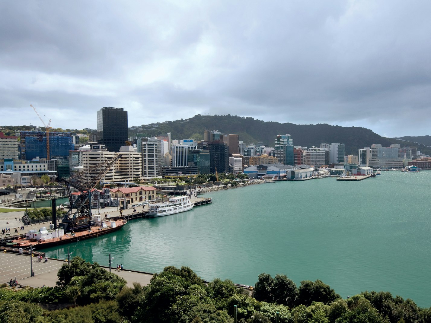 Experience the Wellington waterfront with wildlife expert Michael Szabo. A photo of the Wellington waterfront and city on an overcast day